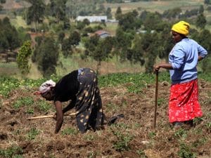 BURUNDI: AfDB provides $20 million for climate resilience of farmers and pastoralists©hecke61/Shutterstock