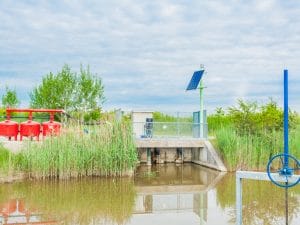 RWANDA: Rwarri to irrigate 20 hectares of plantation with solar water pumps©Climber 1959/Shutterstock