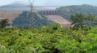 CAR-DRC: AfDB finances the rehabilitation of the Boali hydroelectric power plant©Nataly Reinch/Shutterstock