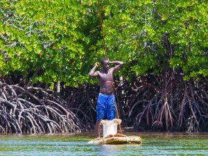 AFRICA: EU grants €9.9m to FDA and WIA for wetland conservation ©Marius Dobilas/Shutterstock