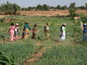 ZAMBIA: a climate change adaptation project awarded at CAS 2021©BOULENGER Xavier/Shutterstock