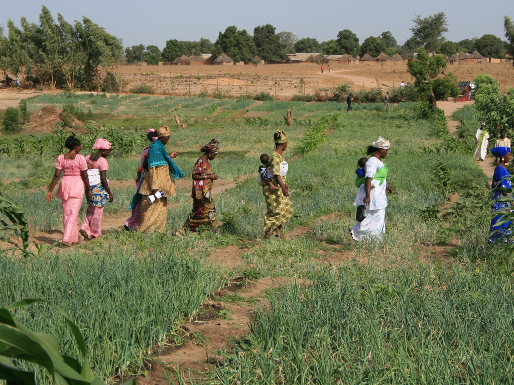 ZAMBIA: a climate change adaptation project awarded at CAS 2021©BOULENGER Xavier/Shutterstock