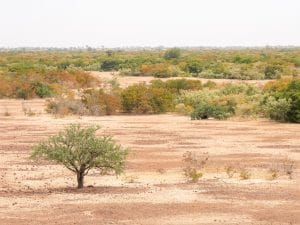 SAHEL : la BAD promet 6,5 Md $ pour l’initiative de la Grande muraille verte en 5 ans©mbrand85/Shutterstock