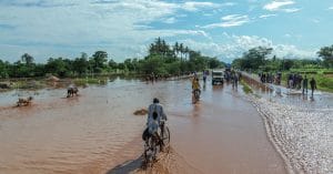 MOZAMBIQUE: Cyclone Eloise threatens biodiversity and food security©Vadim Petrakov/Shutterstock