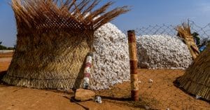 AFRICA: "CmiA" organic cotton clothing arrives in Lidl shops in Switzerland©Alexander BEE/Shutterstock