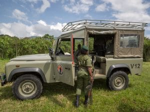 RDC : le meurtre de 6 rangers relance la question sur la sécurité dans les Virunga©LMspencer/Shutterstock