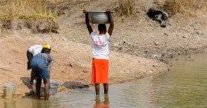 CONGO BASIN: Climate change threatens biodiversity©Anton_Ivanov/Shutterstock