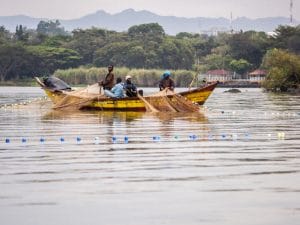 EAST AFRICA: Towards sustainable use of Lake Victoria's resources©Jen Watson/Shutterstock