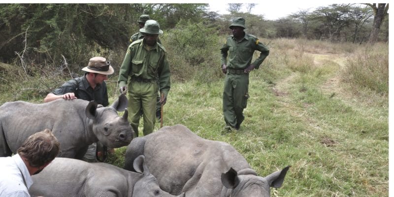 AFRIQUE DU SUD : WWF soutient le gouvernement dans la lutte contre