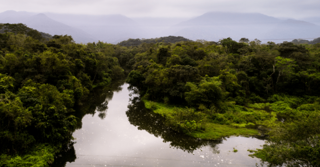 AFRICA: Water management, a key issue for biodiversity©Gustavo Frazao/Shutterstock