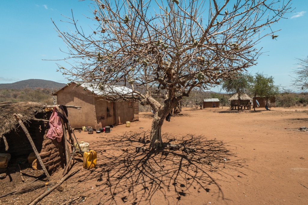 KENYA : Nairobi dépensera 8 Md$ pour l’adaptation au changement climatique en 10 ans © scarp577/Shutterstock