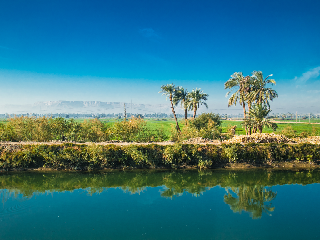 ÉGYPTE : l’eau d’irrigation sera bientôt payantes©Aleksandar Todorovic/Shutterstock