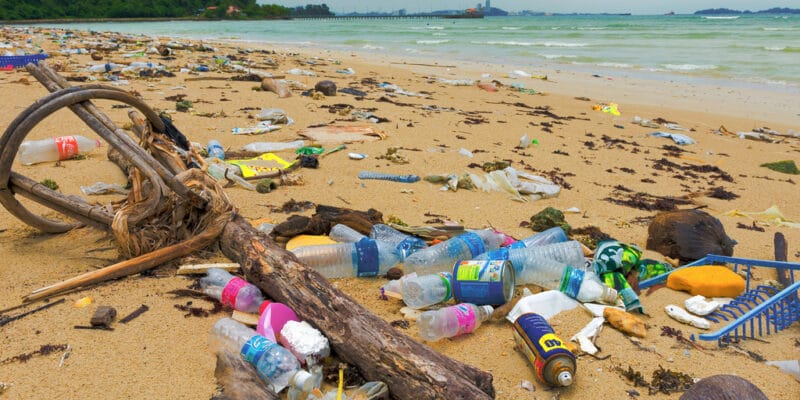 AFRICA: FAO and IMO launch GloLitter programme to clean up oceans©Arnain/Shutterstock