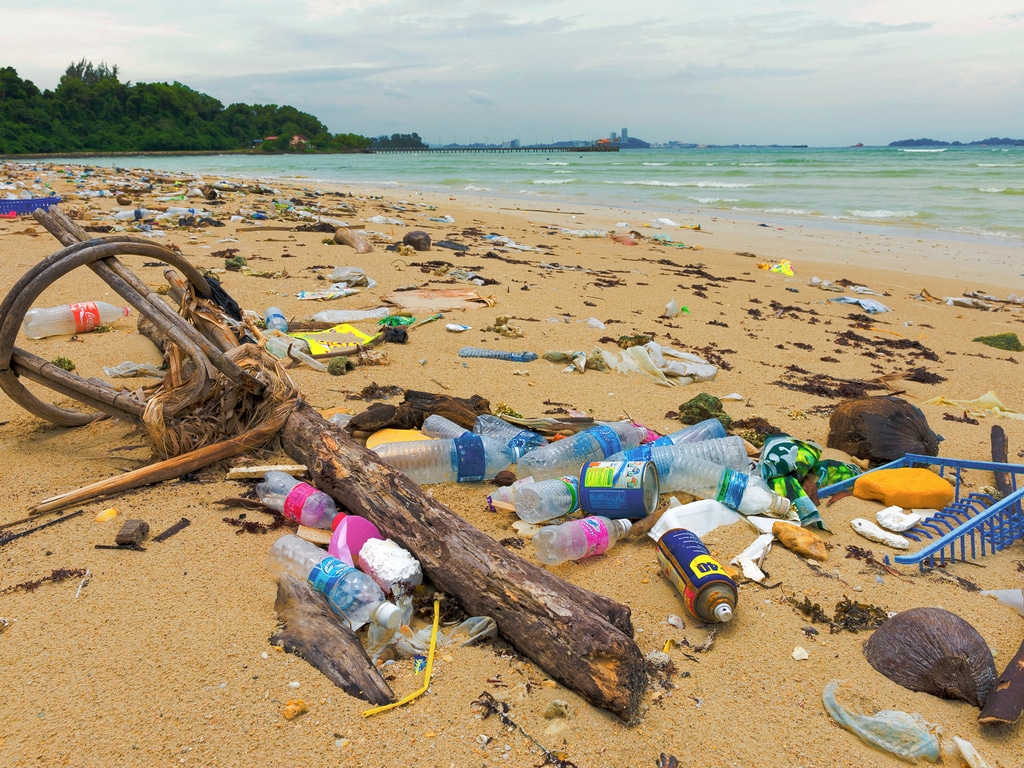 AFRICA: FAO and IMO launch GloLitter programme to clean up oceans©Arnain/Shutterstock