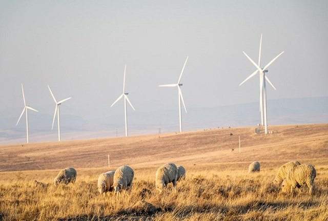 AFRIQUE DU SUD : le parc éolien Golden Valley (123 MW) de BioTherm entre en service© Biotherm Energy