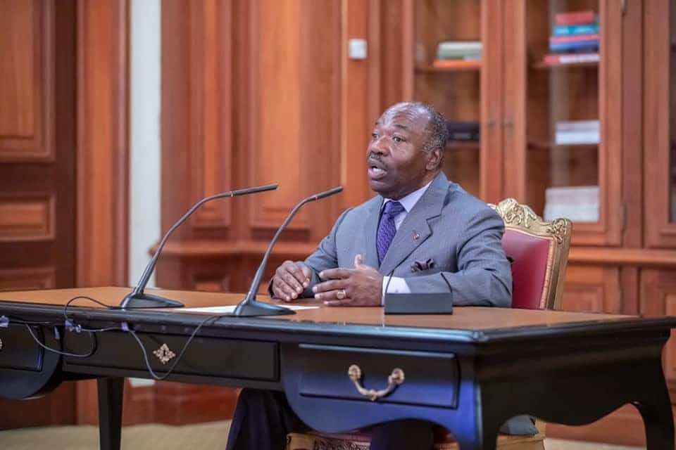 GABON: International criminal law to take poaching into account© Présidence de la République gabonaise