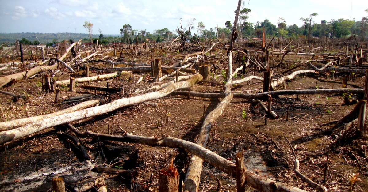 Ivory Coast: Human Pressure On Biodiversity, The 