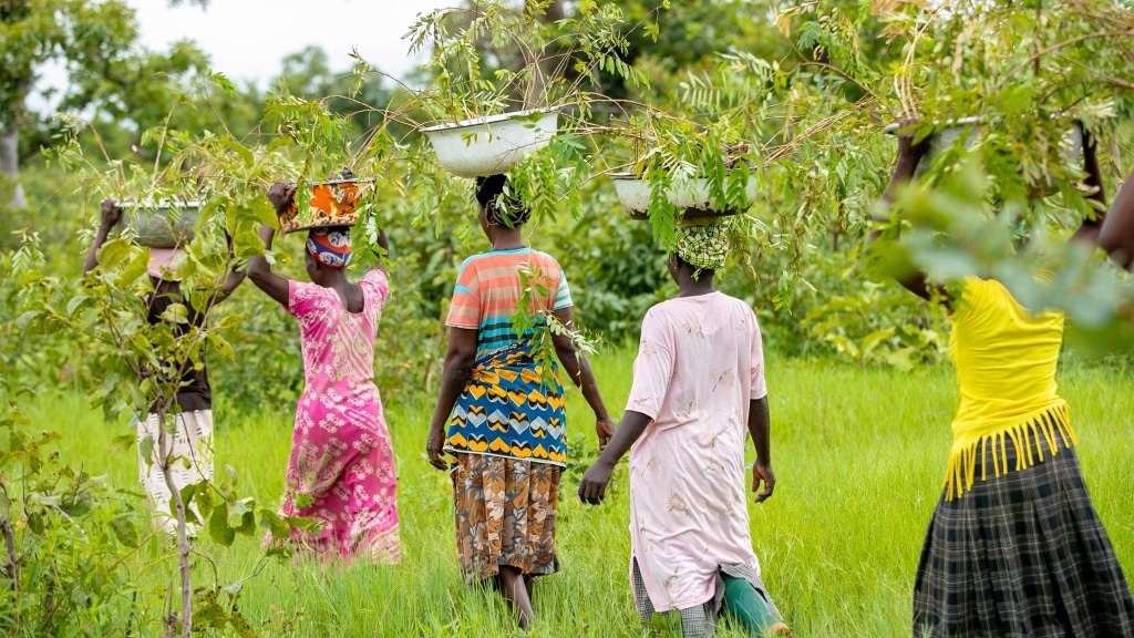 MALI/SENEGAL: "Olympic Forest" to be planted in 90 villages ©CIO