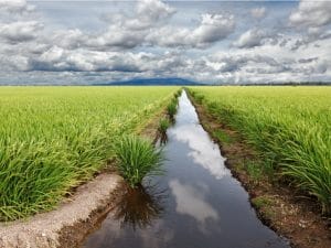 IVORY COAST: Power China launches the construction of the Raviart irrigation dam ©Gwoeii/Shutterstock