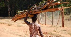 GUINÉE : le gouvernement interdit la coupe du bois pour stopper la saignée des forêts©Franco Volpato/Shutterstock