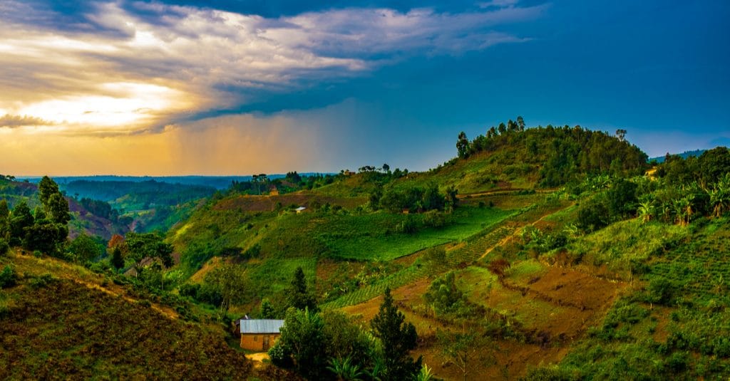 AFRICA: Reconciling agriculture and biodiversity is possible©Ashim D Silva/Shutterstock