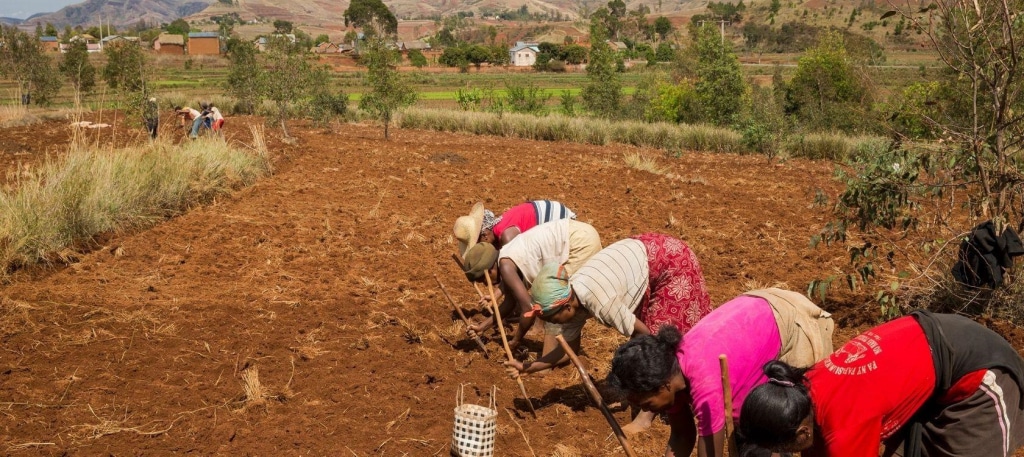 AFRIQUE : 3 projets distingués par le prix « AFD-GDN biodiversité et développement » ©AFD