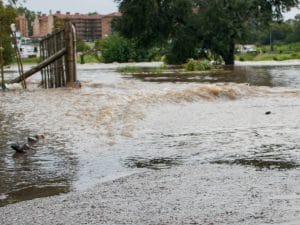 DRC: In Kinshasa, the Chic is born for flood prevention ©Braden Photography/Shutterstock