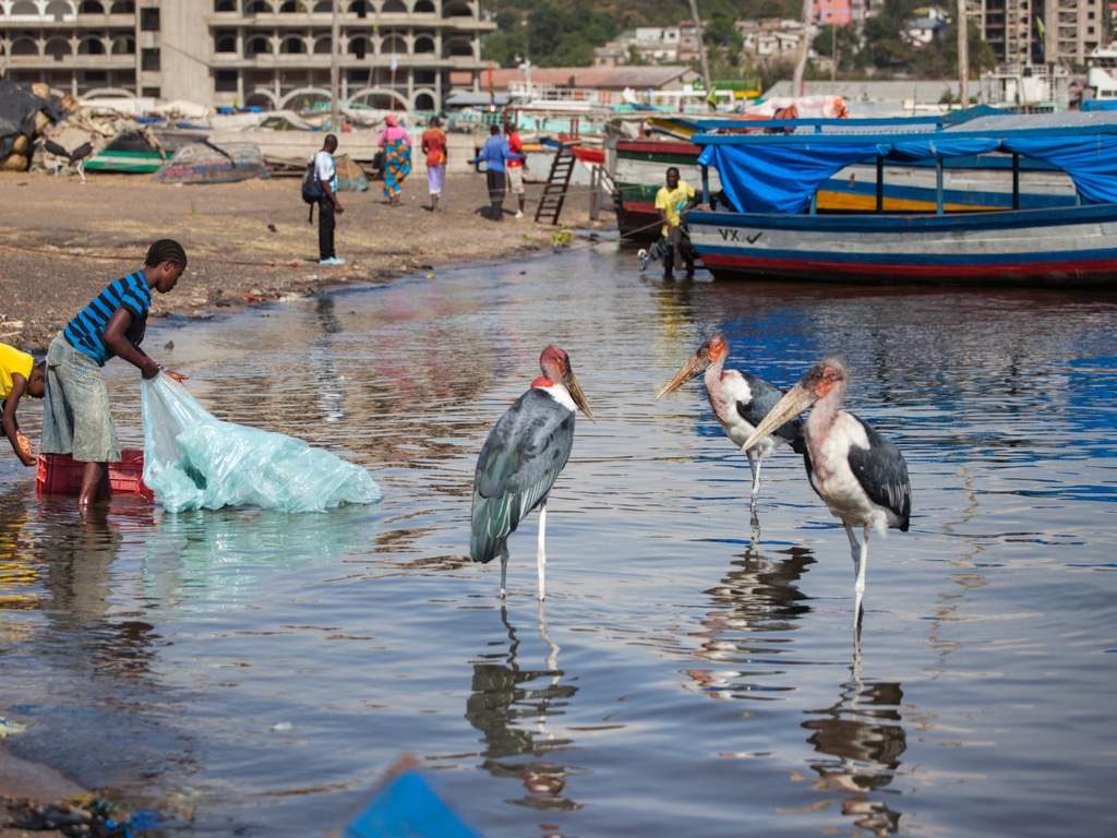 UGANDA: Supporting the Clean Oceans Campaign to reduce plastic pollution ©Borkowska Trippin/Shutterstock