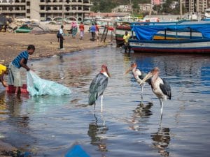 OUGANDA : le soutien à la campagne Océans propres pour réduire la pollution plastique ©Borkowska Trippin/Shutterstock