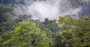 AFRIQUE : l’AFD et le FFEM cofinancent la 2e phase de Combo+, pour la biodiversité©JordiStock/Shutterstock