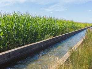 ÉGYPTE : le gouvernement modernise 2 017 km de canaux d’irrigation©Alekk Pires//Shutterstock