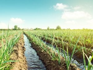 KENYA: New Kilimani Galana Buttress irrigation dam comes into operation©Andrii Yalanskyi/Shutterstock