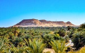 EGYPT: Azelio to install 20 energy storage units for green agriculture © Hazem omar/Shutterstock