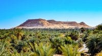 ÉGYPTE : Azelio installera 20 unités de stockage d’énergie pour l’agriculture écolo © Hazem omar/Shutterstock
