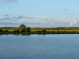 MOROCCO: WWF funds 10 water conservation projects in the Middle Atlas©KarimHajji/Shutterstock