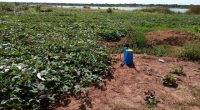 BURKINA FASO: Rehabilitating dams to improve water supply©Burkinabe Ministry of Water and Sanitation