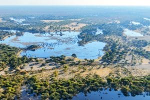 AFRIQUE : un partenariat pour la conservation de la faune dans le bassin de l’Okavango© Vadim Petrakov/Shutterstock