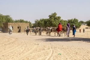 AFRICA: The continent will have 105 million climate migrants by 2050©Torsten Pursche/Shutterstock