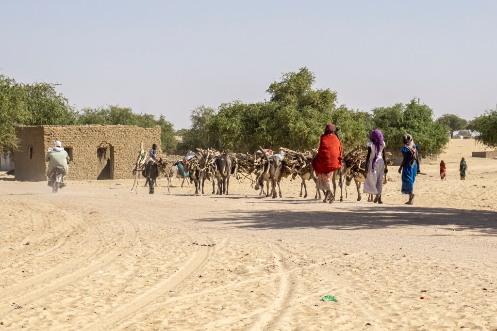 AFRIQUE : le continent comptera 105 millions de migrants climatiques d’ici à 2050©Torsten Pursche/Shutterstock