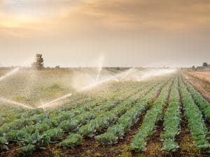 NIGERIA : la FEC débloque des fonds pour l’irrigation dans la vallée de Rima©Fotokostic/Shutterstock