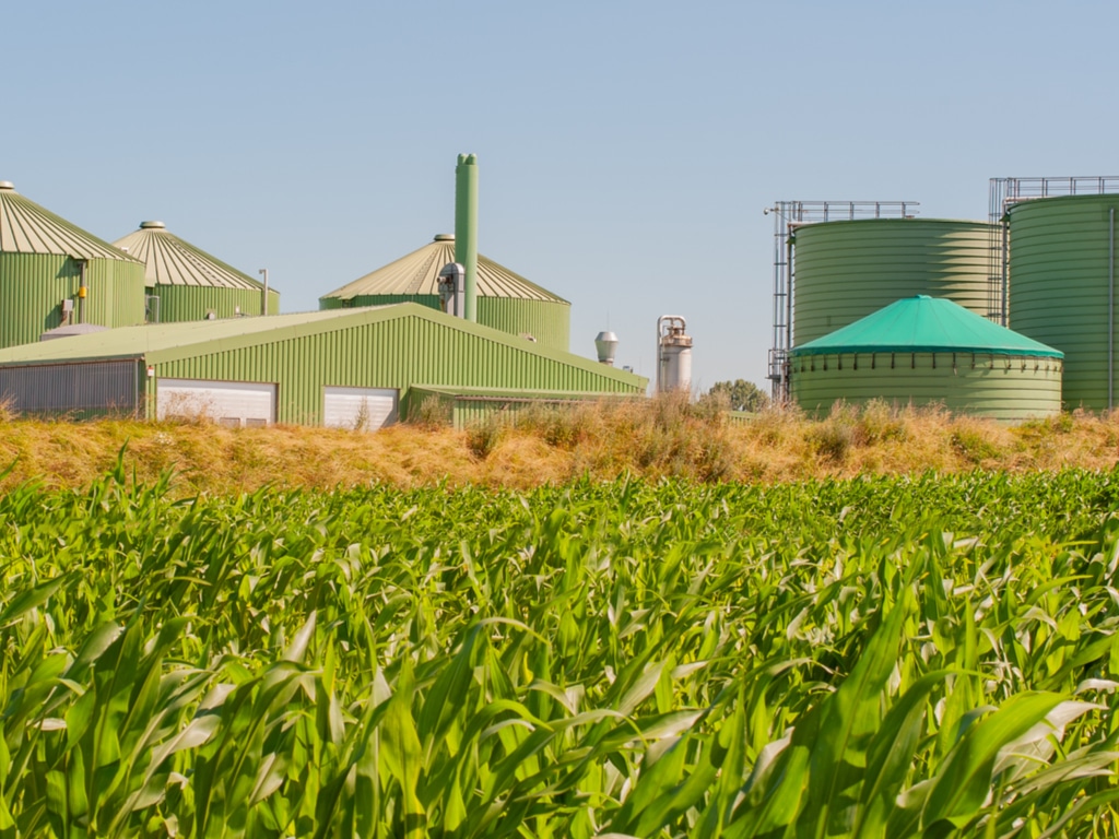 MAROC : Rabat veut augmenter la part de la biomasse dans son mix électrique©ShDrohnenFly/Shutterstock