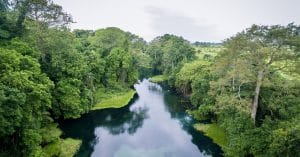 AFRICA: Preserving the Congo Basin, one of the resolutions of the IUCN Congress©antoinee/Shutterstock