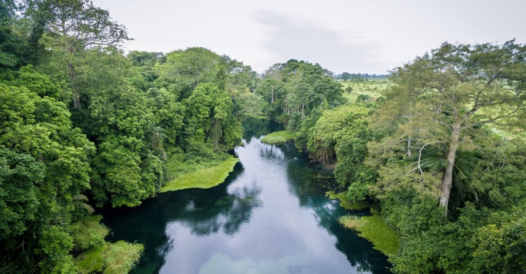 AFRIQUE : préserver le bassin du Congo, l’une des résolutions du congrès de l’UICN©antoinee/Shutterstock