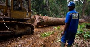 AFRICA: Creation of a business forum for sustainable forestry©TOWANDA1961/Shutterstock