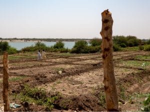 SOUDAN : une nouvelle stratégie de gestion des ressources en eau entre en vigueur©geogif/Shutterstock