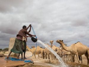 SOMALIA: New strategy to improve water resources management©Faid Elgziry/Shutterstock