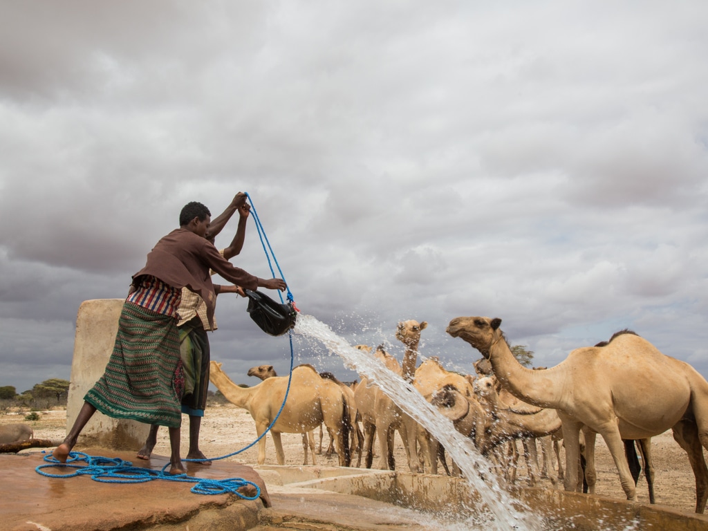 Somalia New Strategy To Improve Water Resources Management Afrik 21 1981