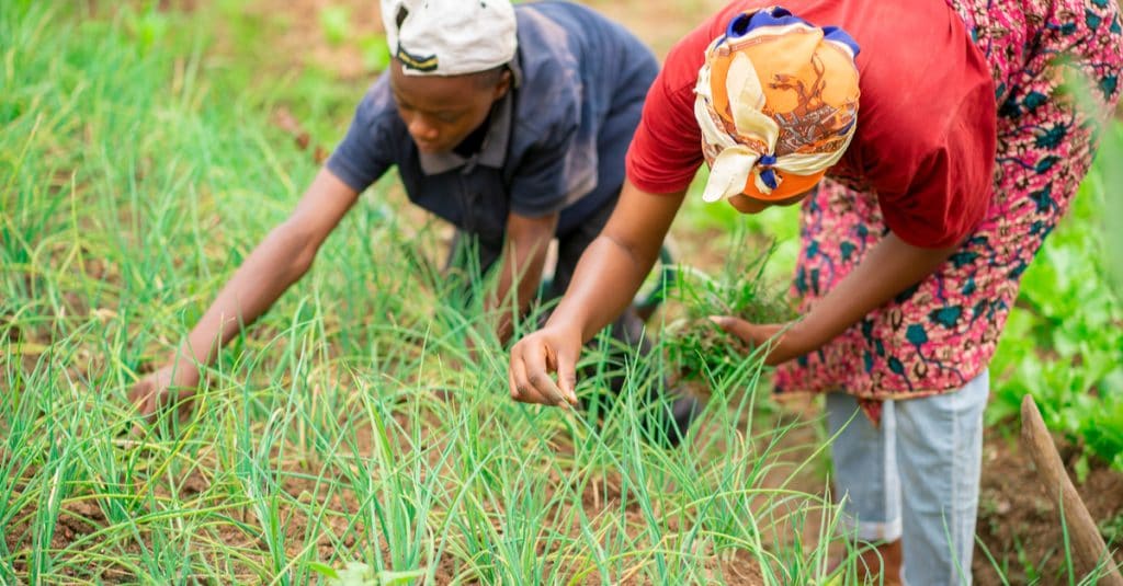 SENEGAL: on the eve of COP26, rural women denounce climate injustice©Kwame Amo/Shutterstock