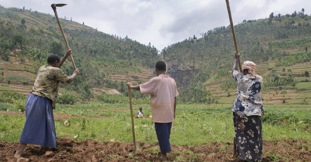 CENTRAL AFRICA: MPs call for ancestral methods of climate resilience©CherylRamalho/Shutterstock