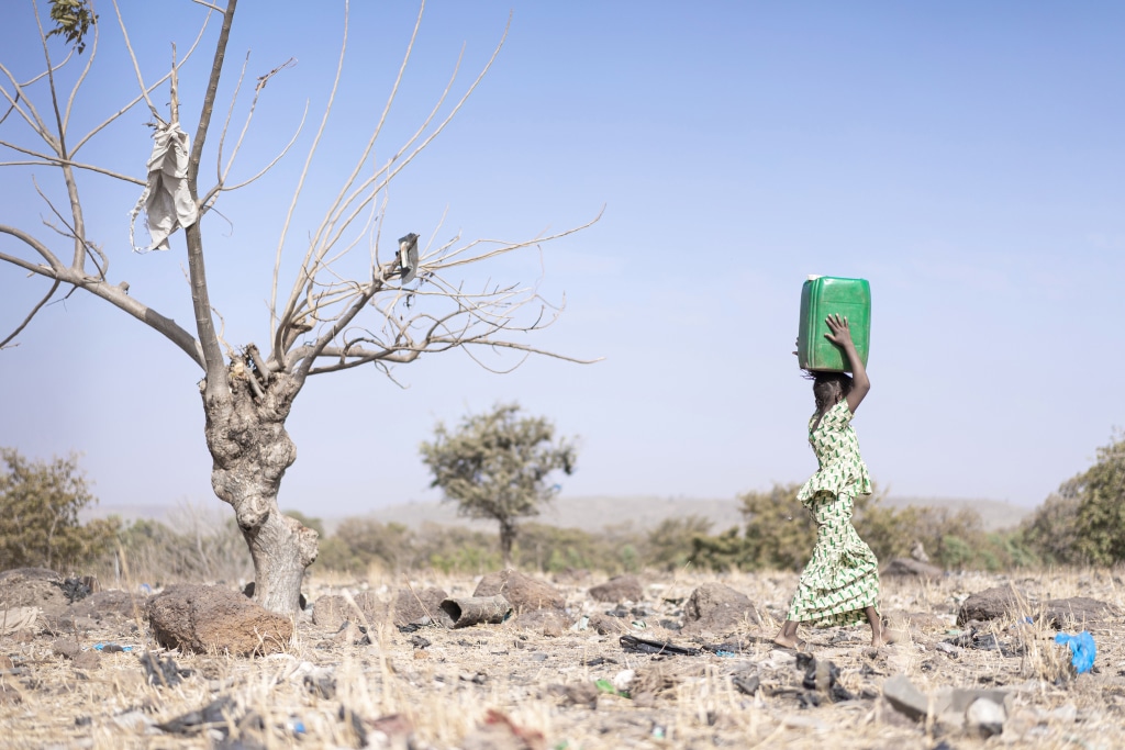 AFRICA: when climate change defies all predictions©Riccardo Mayer/Shutterstock